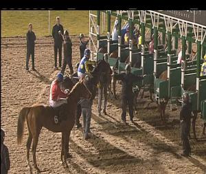 Video preview image for Chelmsford City 17:15 - Bet Toteplacepot At betfred.com Novice Auction Stakes (6)