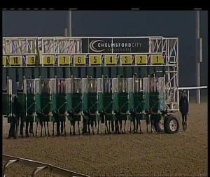Video preview image for Chelmsford City 17:25 - Breeders' Cup Live On At The Races Novice Stakes (5)