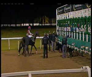 Video preview image for Chelmsford City 17:55 - Visit attheraces.com/breederscup Nursery Handicap (5)