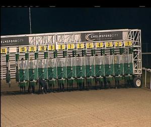 Video preview image for Chelmsford City 17:55 - Totescoop6 £1 Million This Saturday Novice Median Auction Stakes (6)