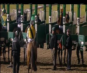 Video preview image for Chelmsford City 18:55 - Get In! Breeders' Cup Special Friday On Atr Handicap (2)