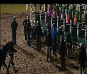 Video preview image for Chelmsford City 19:55 - Breeders' Cup Tips On attheraces.com Handicap (5) (Div 1)