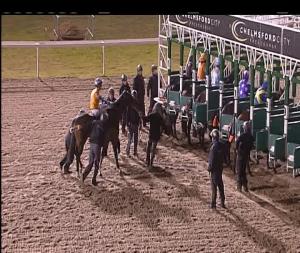 Video preview image for Chelmsford City 20:00 - Bet Totetrifecta At betfred.com Claiming Stakes (6)