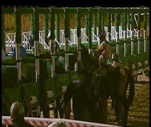 Video preview image for Chelmsford City 20:15 - Samaritans, Can I Help You? Maiden Fillies' Stakes (5)