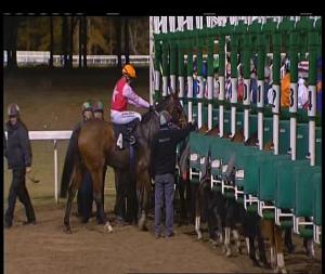 Video preview image for Chelmsford City 20:15 - Totescoop6 The Millionaire Maker Handicap (5) (Div 2)