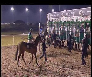 Video preview image for Chelmsford City 20:45 - Laser Sensory Handicap (7)