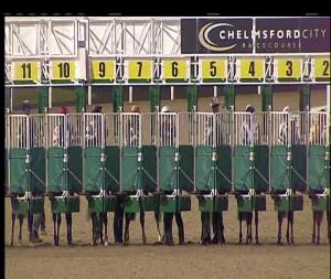 Video preview image for Chelmsford City 20:55 - Book Tickets At chelmsfordcityracecourse.com Handicap (6) (Div 2)