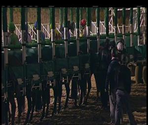 Video preview image for Chelmsford City 21:00 - Book Your Christmas Party At chelmsfordcityracecourse.com Handicap (7)