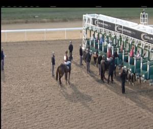 Video preview image for Chelmsford City 16:15 - £20 Free Bets At totesport.com Novice Stakes (5)