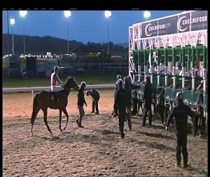 Video preview image for Chelmsford City 16:30 - Bet Toteplacepot At totesport.com Nursery Handicap (6)