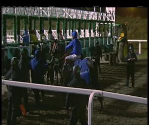 Video preview image for Chelmsford City 17:00 - Bet Toteexacta At totesport.com Novice Stakes (5)