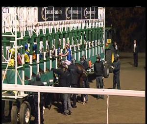 Video preview image for Chelmsford City 17:15 - £20 Free Bets At totesport.com Novice Stakes (5)