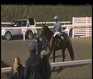 Video preview image for Chelmsford City 17:15 - Bet Toteplacepot At totepool.com Novice Median Auction Stakes (5)