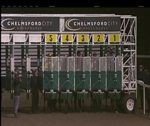 Video preview image for Chelmsford City 17:20 - Totepool At totesport.com Fillies' Novice Stakes (5)