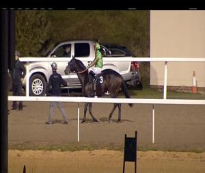 Video preview image for Chelmsford City 17:45 - Totepool Cashback At totesport.com Nursery Handicap (5)