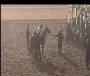 Video preview image for Chelmsford City 17:45 - Bet Toteexacta At totesport.com Nursery Handicap (6)