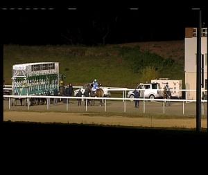 Video preview image for Chelmsford City 18:45 - Extra Places At totesport.com Nursery Handicap (6)