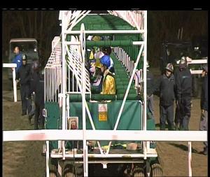 Video preview image for Chelmsford City 19:15 - Irish Lotto At totesport.com British EBF Novice Stakes (Sire/Dam-restricted) (3)