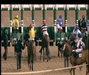 Video preview image for Chelmsford City 19:20 - Toteswinger At totesport.com Handicap (6)