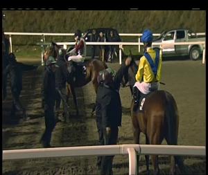 Video preview image for Chelmsford City 19:45 - Double Delight Hat-Trick Heaven At totesport.com Fillies' Novice Stakes (5)