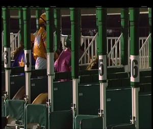 Video preview image for Chelmsford City 20:15 - Double Delight Hat-Trick Heaven At totesport.com Handicap (6)