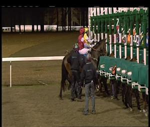 Video preview image for Chelmsford City 20:45 - Book Tickets Online At chelmsfordcityracecourse.com Handicap (5)