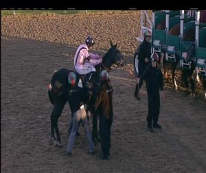 Video preview image for Chelmsford City 17:45 - Bet Toteplacepot At betfred.com Nursery Handicap (6)