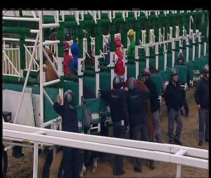 Video preview image for Chelmsford City 17:45 - Bet Toteplacepot At betfred.com Novice Auction Stakes (5)