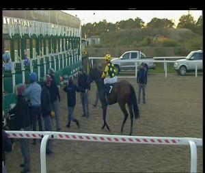 Video preview image for Chelmsford City 17:45 - Bet Toteplacepot At betfred.com Claiming Stakes (5)