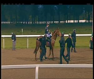 Video preview image for Chelmsford City 17:45 - Bet Toteplacepot At betfred.com Nursery Handicap (6)