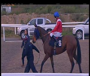 Video preview image for Chelmsford City 18:15 - Bet Totejackpot At betfred.com Fillies' Novice Stakes (4)