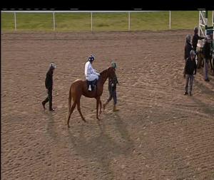 Video preview image for Chelmsford City 18:15 - Bet Totejackpot At betfred.com Nursery Handicap (4)