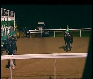 Video preview image for Chelmsford City 18:15 - Bet Totejackpot At betfred.com EBF Novice Stakes (4)