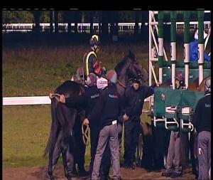 Video preview image for Chelmsford City 18:45 - Weatherbys Global Stallions App Maiden Stakes (4)