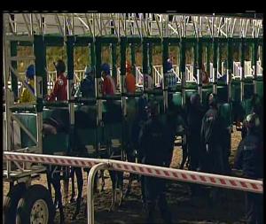 Video preview image for Chelmsford City 19:15 - Bet Toteexacta At betfred.com Fillies' Handicap (5)