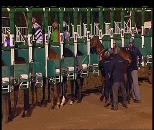 Video preview image for Chelmsford City 19:45 - Bet Totetrifecta At betfred.com Handicap (6)