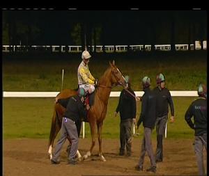 Video preview image for Chelmsford City 19:45 - Bet Totetrifecta At betfred.com Maiden Stakes (5)