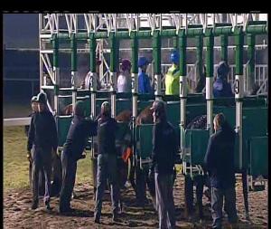 Video preview image for Chelmsford City 20:45 - 2018 Membership Now Available Maiden Stakes (5)