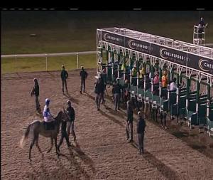 Video preview image for Chelmsford City 21:15 - chelmsfordcityracecourse.com Handicap (7)