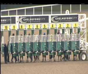Video preview image for Chelmsford City 16:45 - Bet Toteplacepot At totesport.com Maiden Stakes (5)