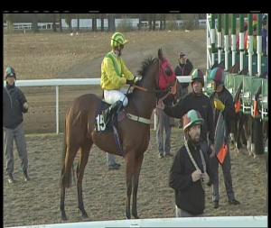 Video preview image for Chelmsford City 16:50 - Bet Toteexacta At totesport.com Handicap (7)