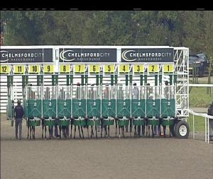 Video preview image for Chelmsford City 17:10 - Bet Toteplacepot At totesport.com Claiming Stakes (5)