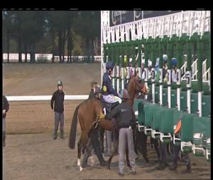 Video preview image for Chelmsford City 17:15 - £20 Free Bets At totesport.com Nursery Handicap (6)