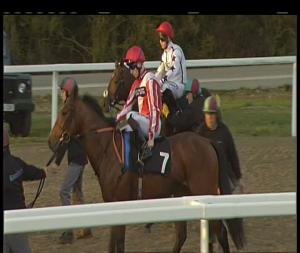 Video preview image for Chelmsford City 17:25 - Bet Totequadpot At totesport.com Nursery Handicap (5)