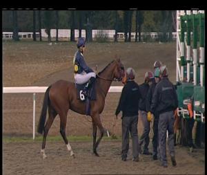 Video preview image for Chelmsford City 17:45 - Bet Toteplacepot At totesport.com Nursery Handicap (4)