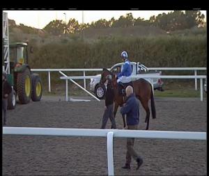 Video preview image for Chelmsford City 18:15 - Totepool Cashback Club At totesport.com Fillies' Novice Stakes (4)