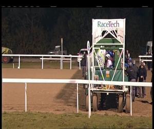Video preview image for Chelmsford City 18:15 - Bet Toteexacta At totesport.com British EBF Novice Auction Stakes (5)