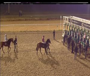 Video preview image for Chelmsford City 19:15 - Extra Places At totesport.com Handicap (6) (Div 2)