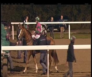 Video preview image for Chelmsford City 19:45 - Bet Toteswinger At totesport.com Handicap (6)