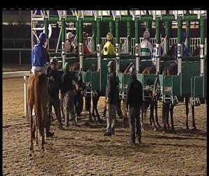 Video preview image for Chelmsford City 20:45 - Simply Lending Solutions Novice Stakes (5)